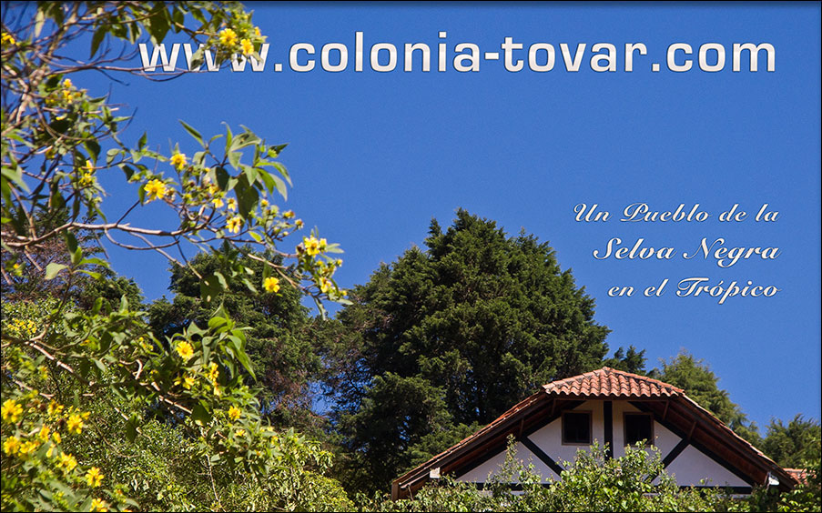 Colonia Tovar